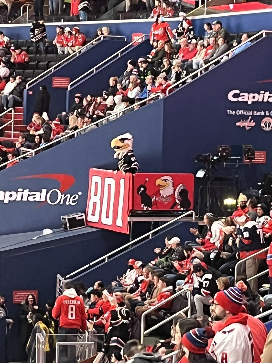 TheCapsBear's tweet photo. In happier news, I made the right call coming tonight and got to see #801 @rmnb @capitals #allcaps https://t.co/dYPtbpLXzY
