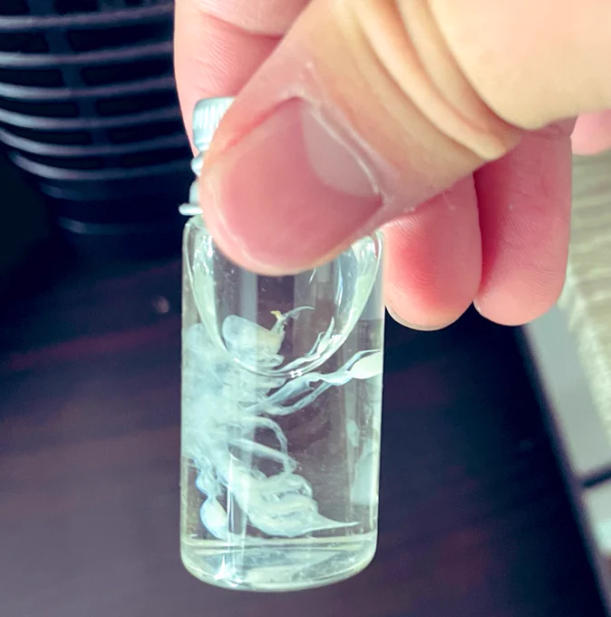 最近ガチで不発すぎるからお気に入りの液浸標本(7エタ)でも置いとくわ古いやつ濁り始めたりしてるんだけど保存液入れ替えた方がいい? 