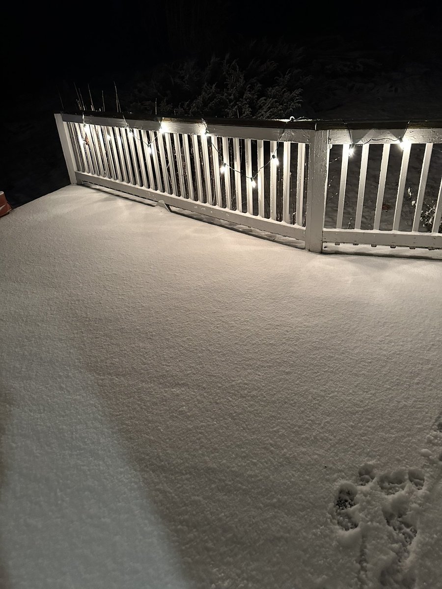 scotttsweeney's tweet photo. @7News ashby snow squalls dropping 1/2 inch. https://t.co/q1aMC9gPtW