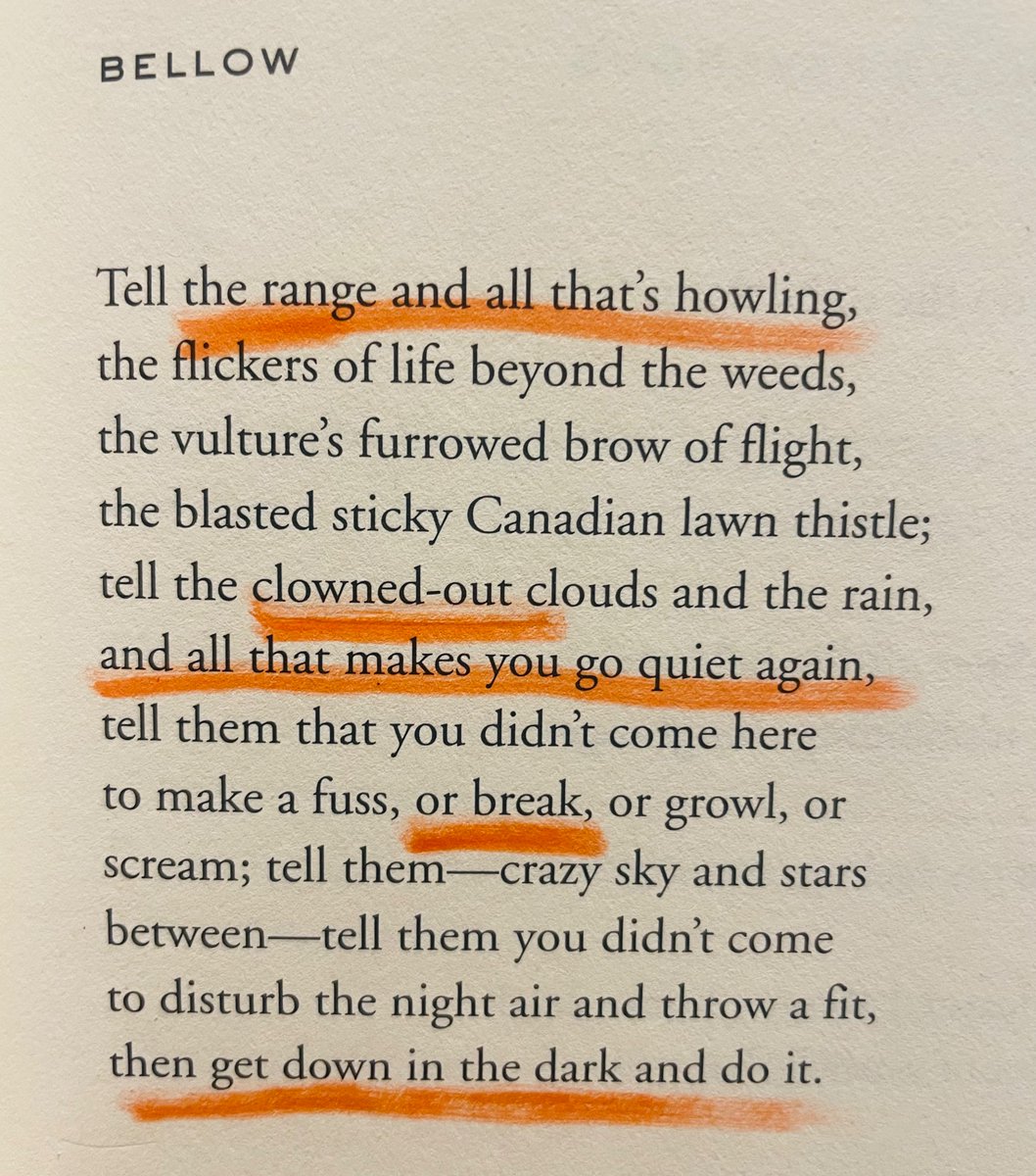 happiest intention season to you + all that’s howling from me + US poet laureate <a href="/adalimon/">joa 🎏</a>. 

hope everyone gets some much needed rest. see you bright + early on the other side 💛