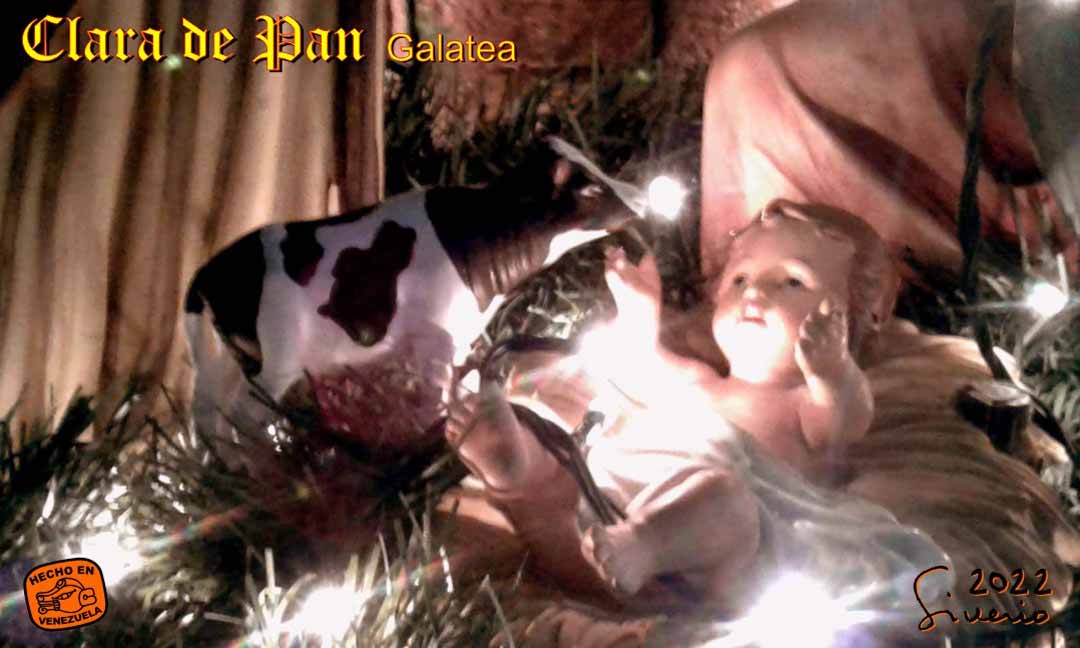 nino_jesus's tweet photo. Galatea carries the Star of Bethlehem in her snout to deliver it to the Child God. Galatea. Character created by Ramón Siverio (AKA: Niño Jesús).2022
#fantasy #cow #cows #fantasybooks #fantasyartist #fantasywork #tales #magic #magickingdom #magical #magicofchilhood #fanstasyworld https://t.co/coND28Em7U