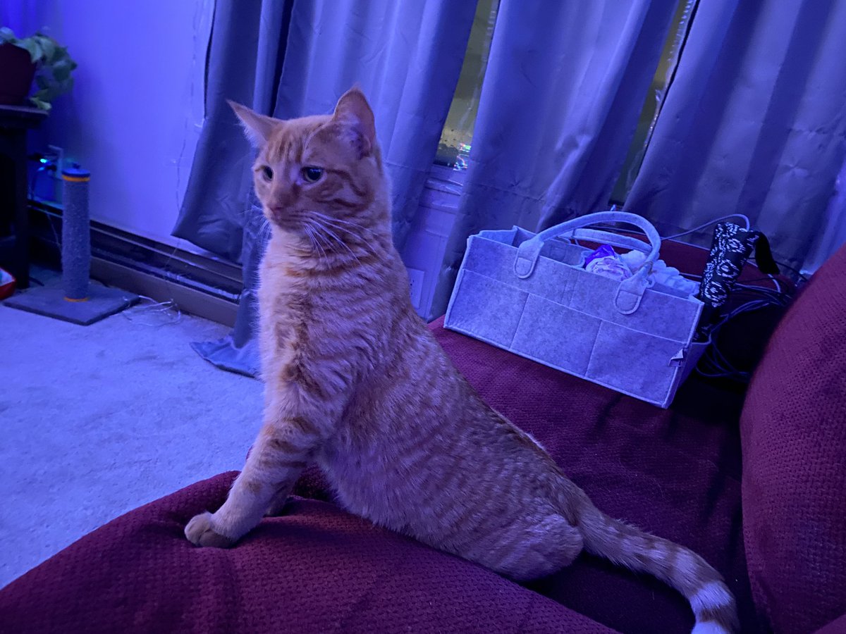 Having his little mermaid moment