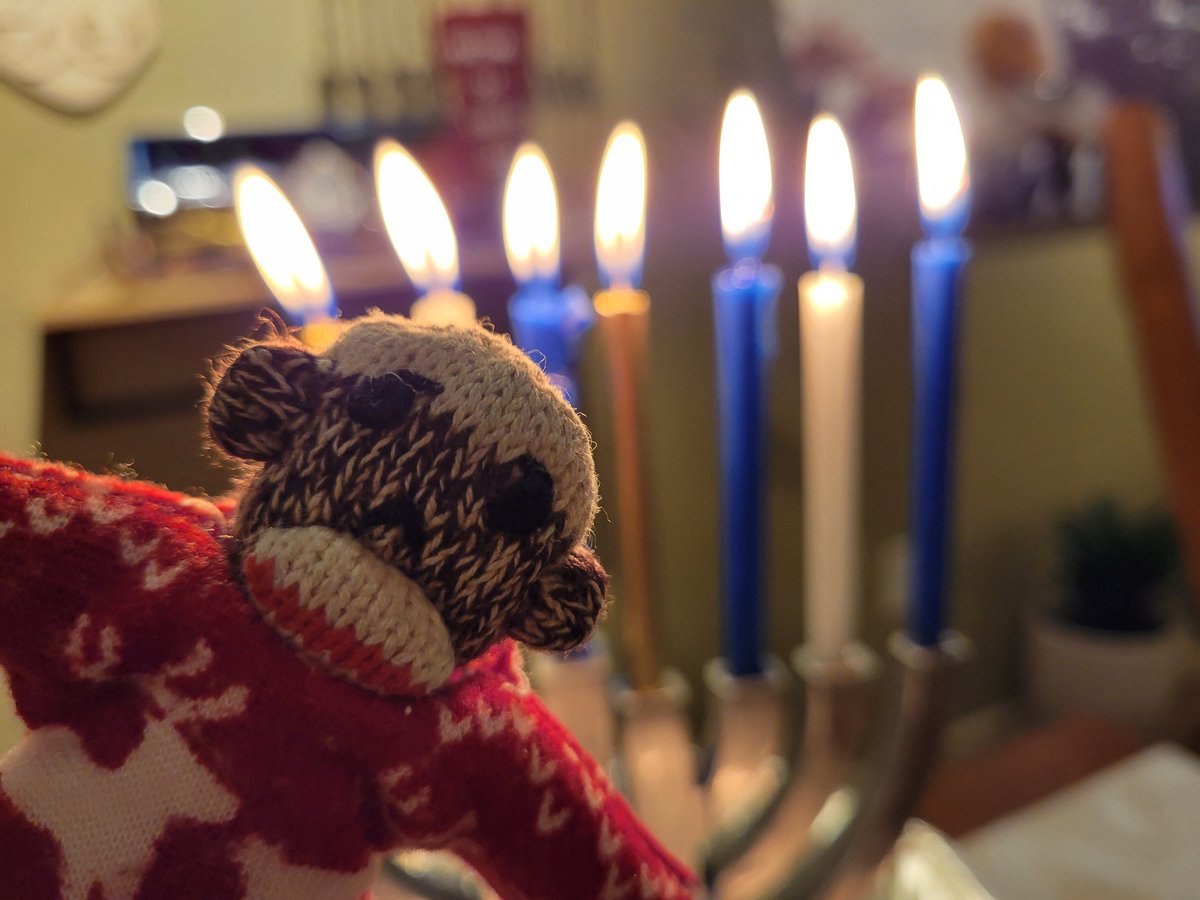 We have lit our candles for the 6th night of Hanukkah!  May you each experience glimmers of light, showing you love and warmth during the holiday season and throughout every day! #festivaloflights #chillinwithTM2 #TM2Verified ✅️🐒