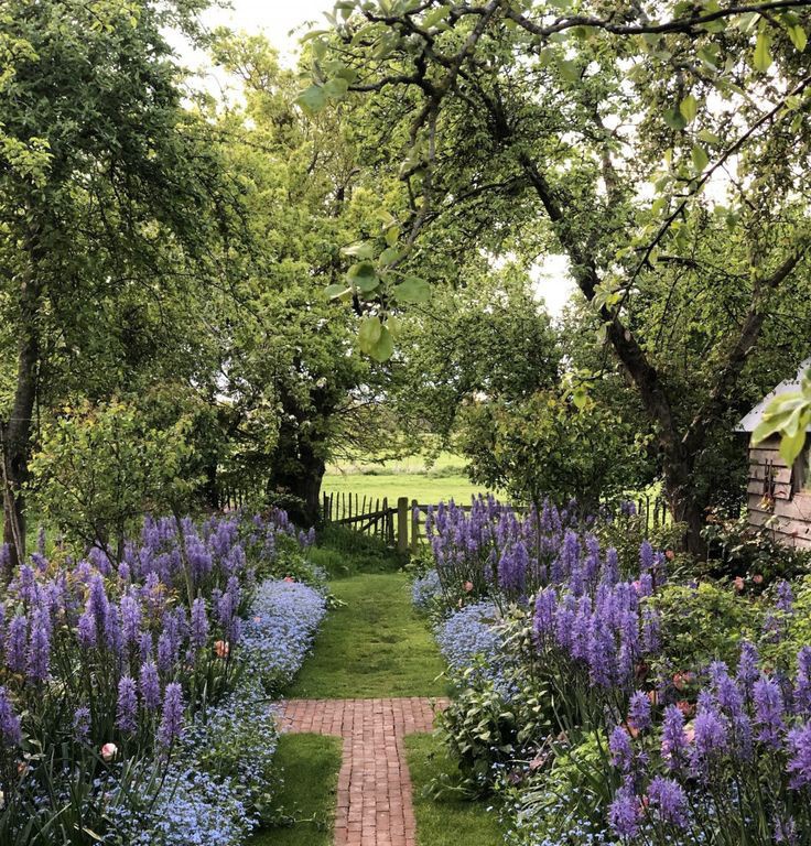 ¿Cómo bajé 11 kilos en un mes y dos semanas?
             ~🧵 solo para edtwt~

♡/↻ is appreciated ♥︎