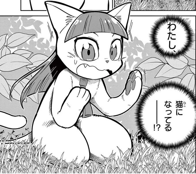FF外から失礼します!
彼女も多数のオタクに刺さると思うので追加しておきます、、、!! https://t.co/6u0G0dWLzY 