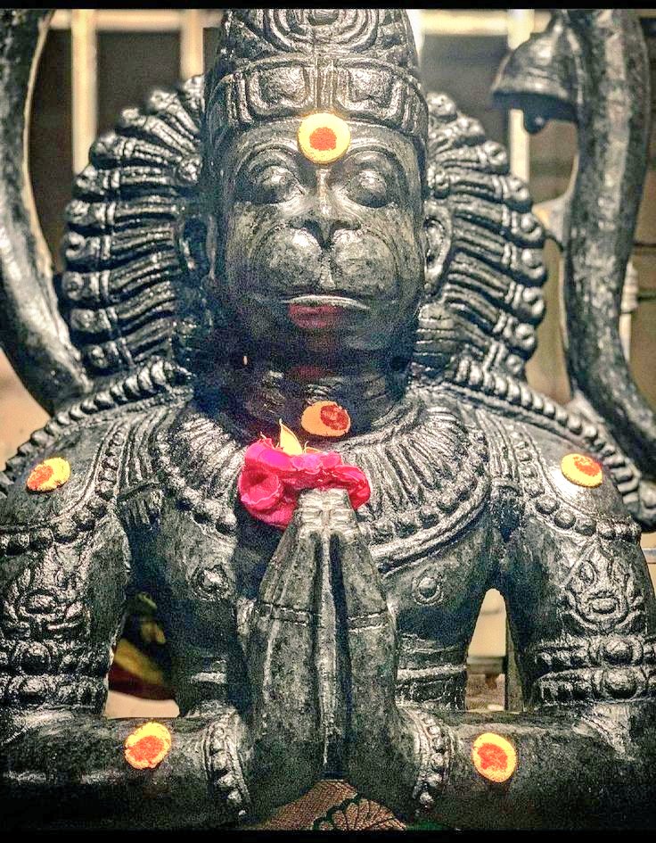 राम रसायन तुम्हारे पासा सदा रहो रघुपति के दासा चिरंजीवी भक्त हनुमान गोविंदाया नमः..... 🙏☘️