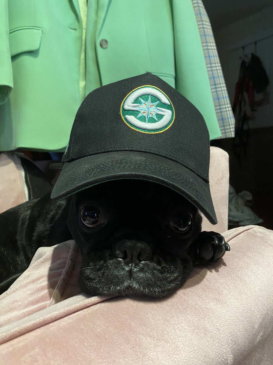 stonecoldYAMA's tweet image. Miss my lil ones 😔