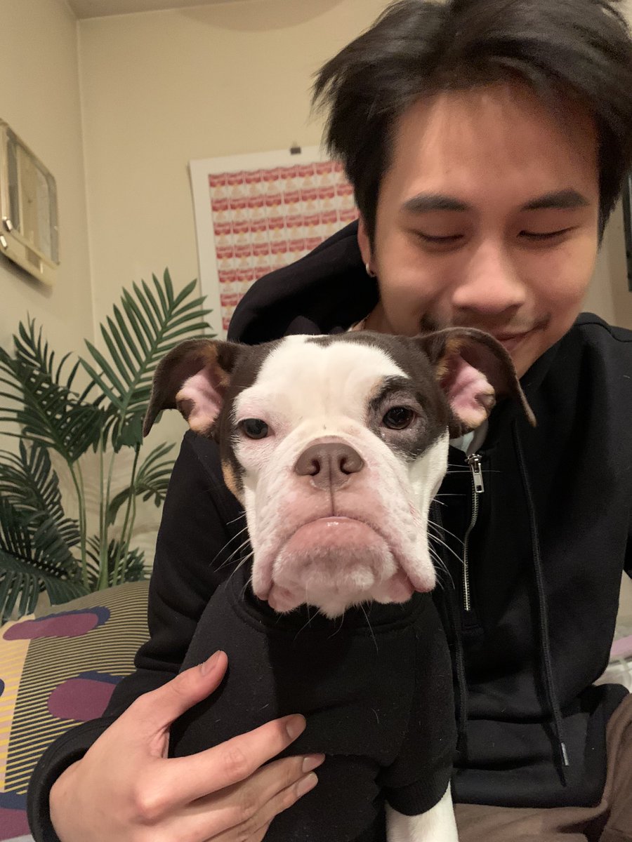 stonecoldYAMA's tweet image. Miss my lil ones 😔