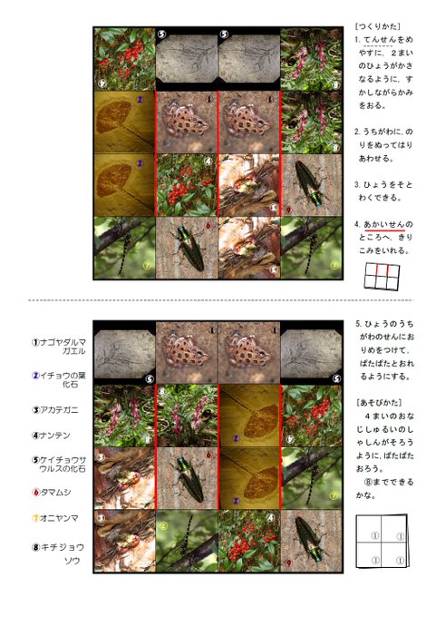 倉敷市立自然史博物館 倉敷市