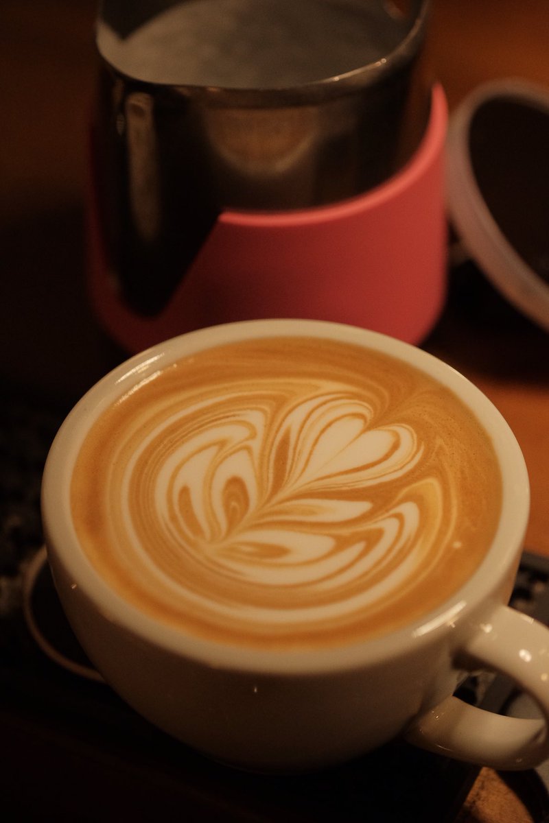 nob_caffe's tweet photo. #rosettarevolution
#メリークリスマス🌿 https://t.co/4iK5TutJWG