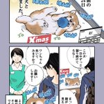 読んでいてほっこりしちゃう!愛犬との出会いと現在を描いた「犬漫画」が話題に!