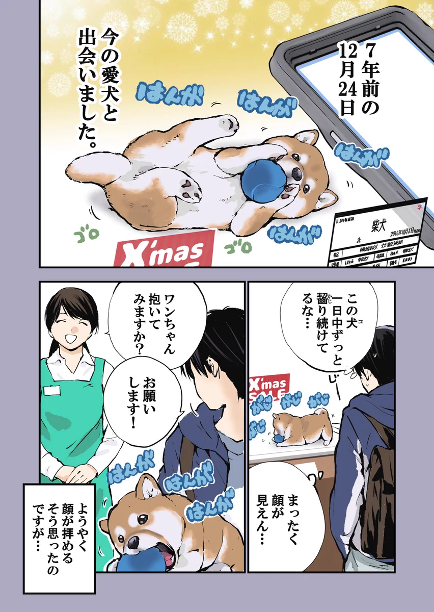 読んでいてほっこりしちゃう！愛犬との出会いと現在を描いた「犬漫画」が話題に！