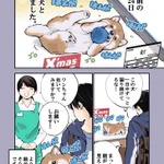 読んでいてほっこりしちゃう!愛犬との出会いと現在を描いた「犬漫画」が話題に!
