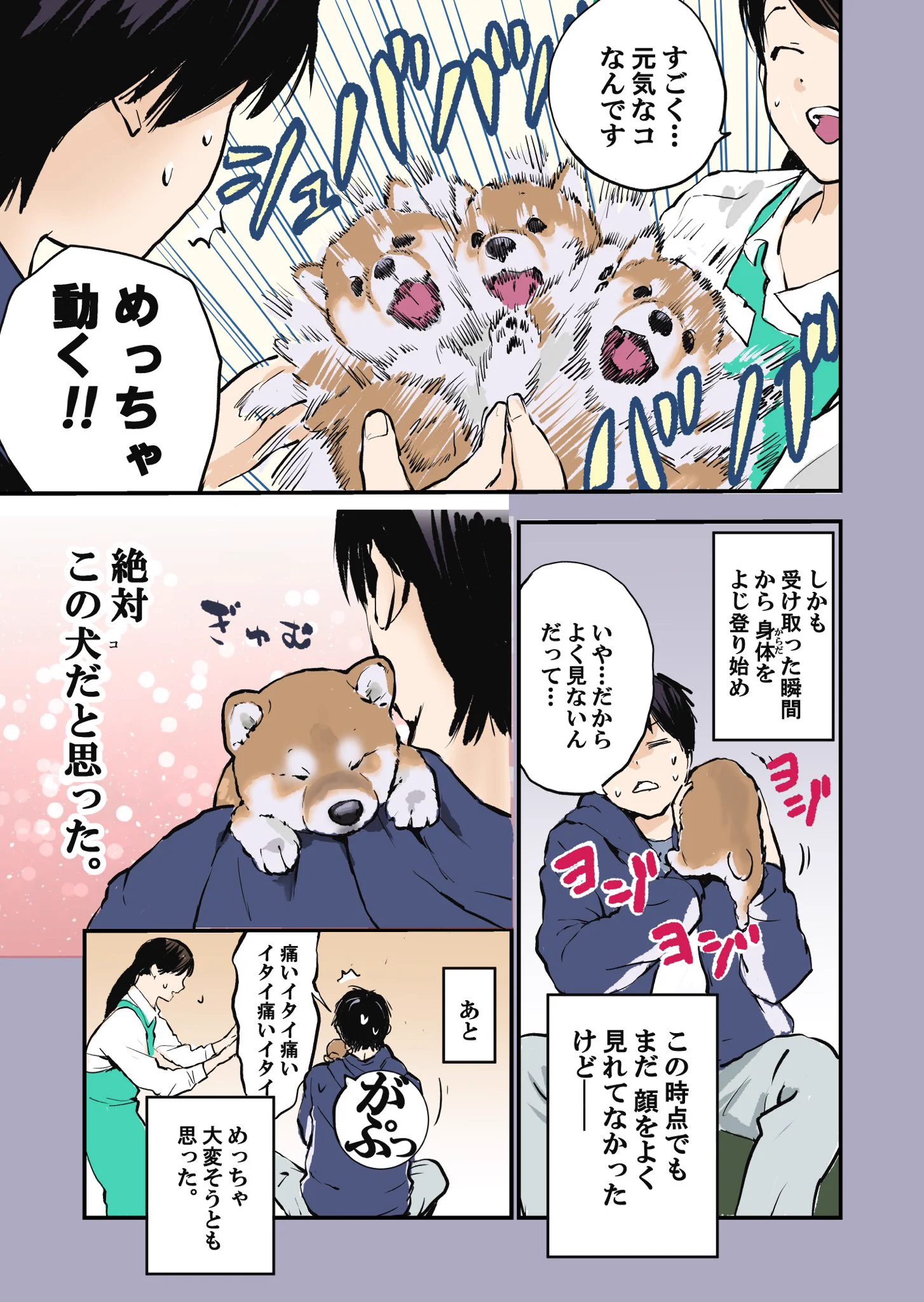 読んでいてほっこりしちゃう！愛犬との出会いと現在を描いた「犬漫画」が話題に！