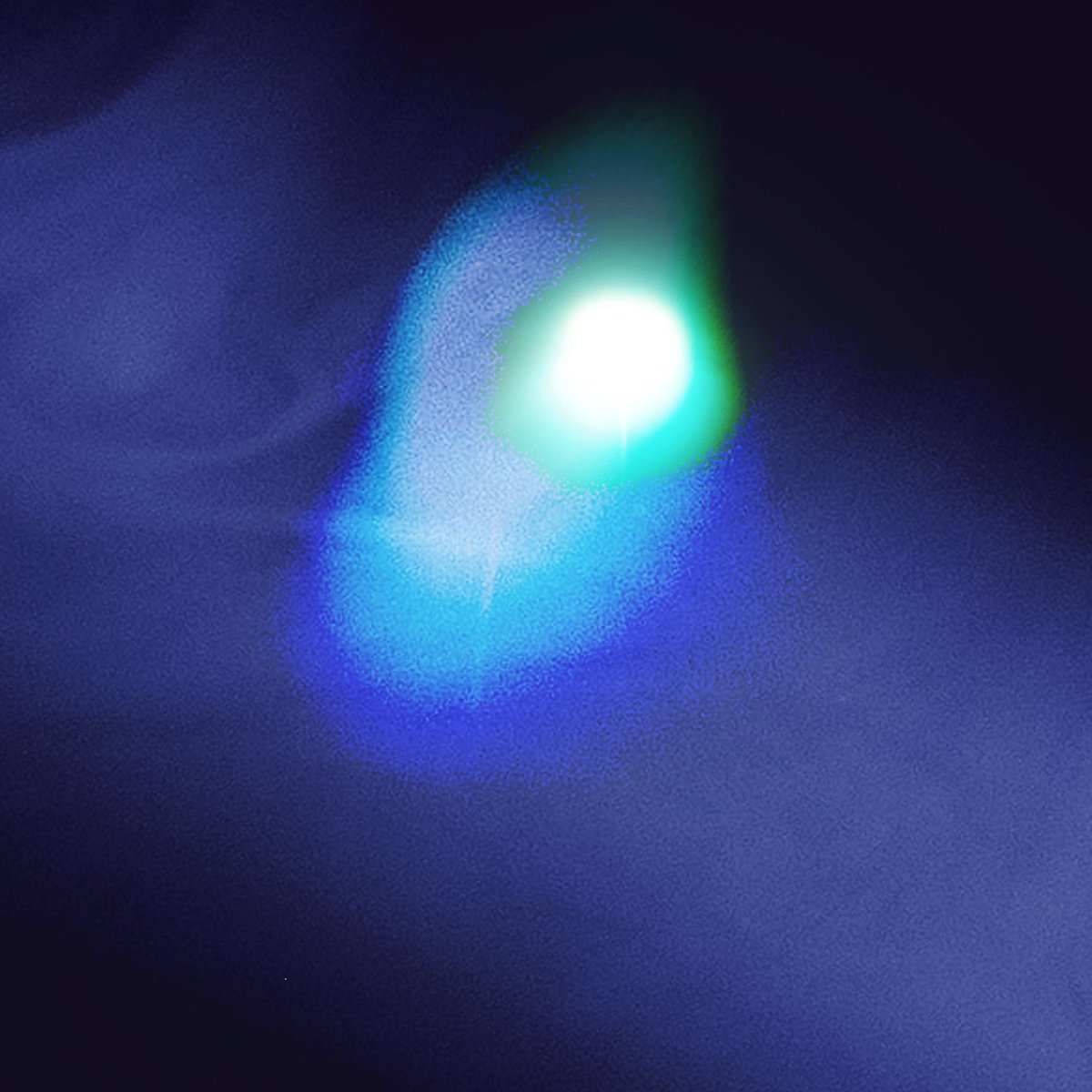 CLUB MIDNIGHT IS OUT NOW, ANY WHERE YOU STREAM YOUR MUSIC. 

withkoji.com/@fevercultband