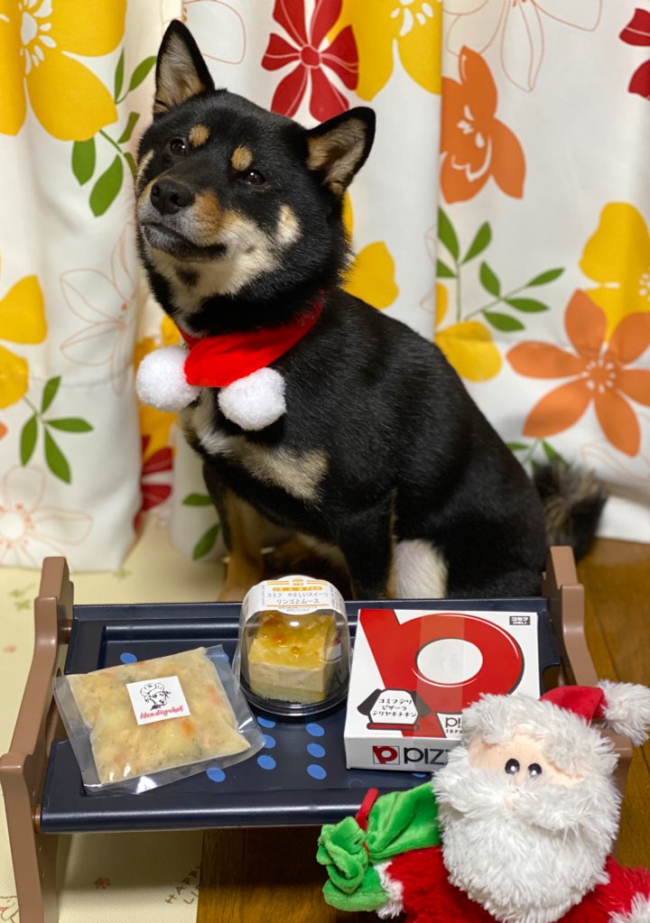 Gin_kuroishiba's tweet photo. クリスマスイブ🎄❤️
銀さん🐶❤️
朝ごはんからごちそうです❣️✨✨
シチュー🥔✨
ピザ🍕
りんごケーキ🍎
トナカイ🦌銀ちゃんかわ‥🥺❤️
#柴犬
#黒柴
#クリスマスイブ
#ごちそう
#ピザ
#りんごケーキ
#シチュー
#ideadogchef
#トナカイ https://t.co/Ymc8w6Omc6