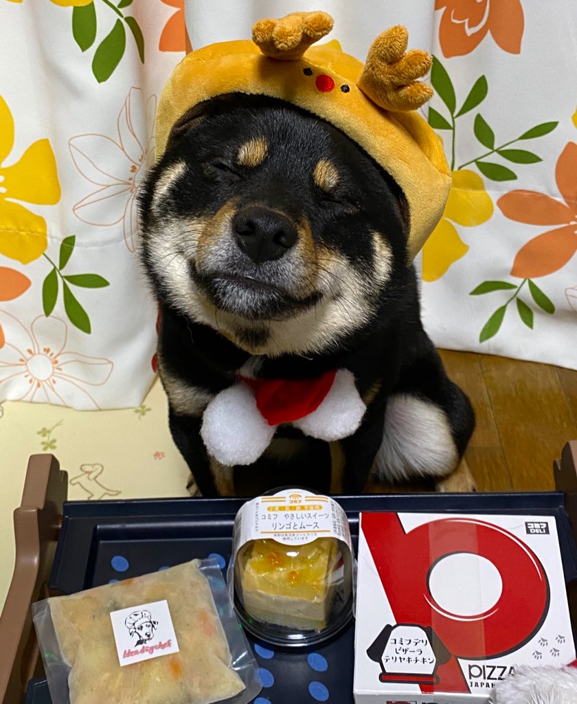Gin_kuroishiba's tweet photo. クリスマスイブ🎄❤️
銀さん🐶❤️
朝ごはんからごちそうです❣️✨✨
シチュー🥔✨
ピザ🍕
りんごケーキ🍎
トナカイ🦌銀ちゃんかわ‥🥺❤️
#柴犬
#黒柴
#クリスマスイブ
#ごちそう
#ピザ
#りんごケーキ
#シチュー
#ideadogchef
#トナカイ https://t.co/Ymc8w6Omc6
