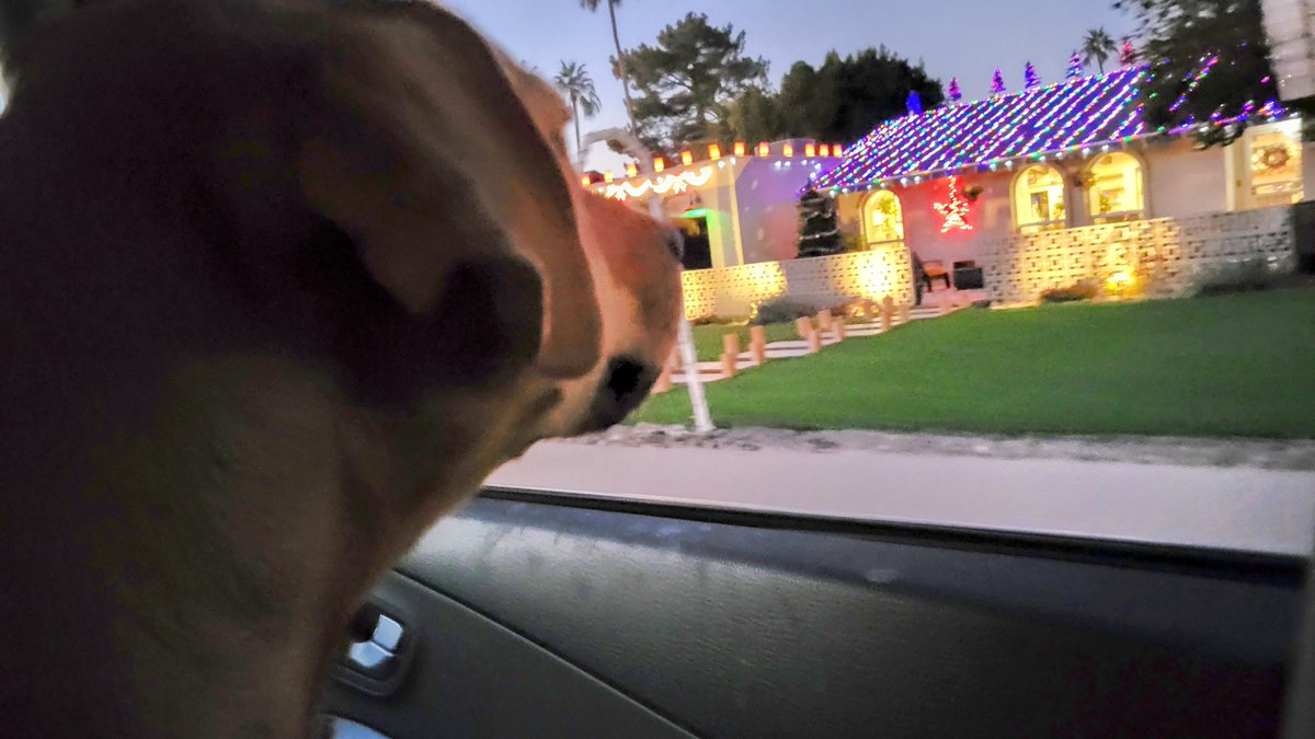 CynthMoss's tweet photo. Happy Holidays & Happy Festivus from Oliver, @Michael_Brace,& Cindy.
🐕🌟🎄💖
#MoonValleyChristmasLights
#FestivusForTheRestOfUs
#LifeWithOliver
#LiveWellLoveMuchLaughOften
#ThatsHowieDoIt https://t.co/pZrFYhYAbU