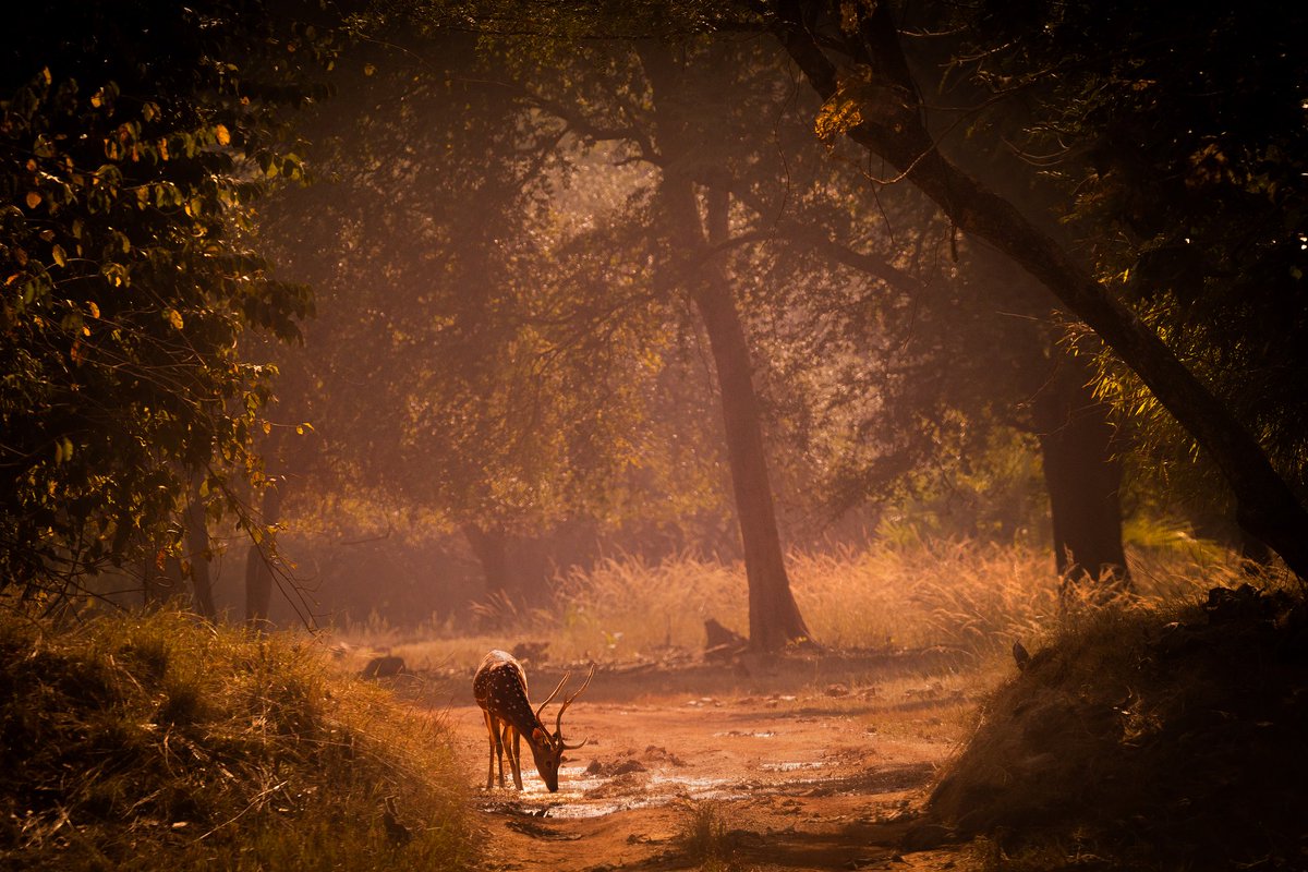 Kiran Ghadge tweet media