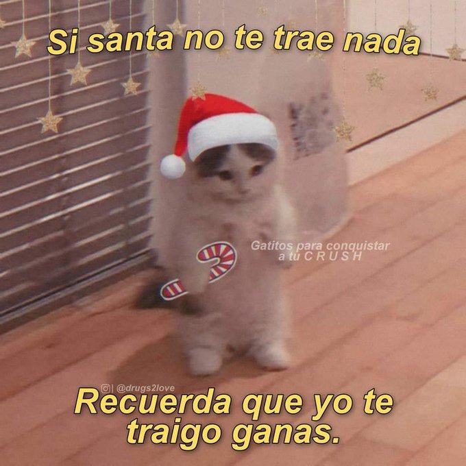 Ya es momento de mandar este meme por DM? 😅😅🤭🤭 https://t.co/dWPxu5YIJh<a href="/tag/juevesdepancita"class="tags"><span>#juevesdepancita</span></a>