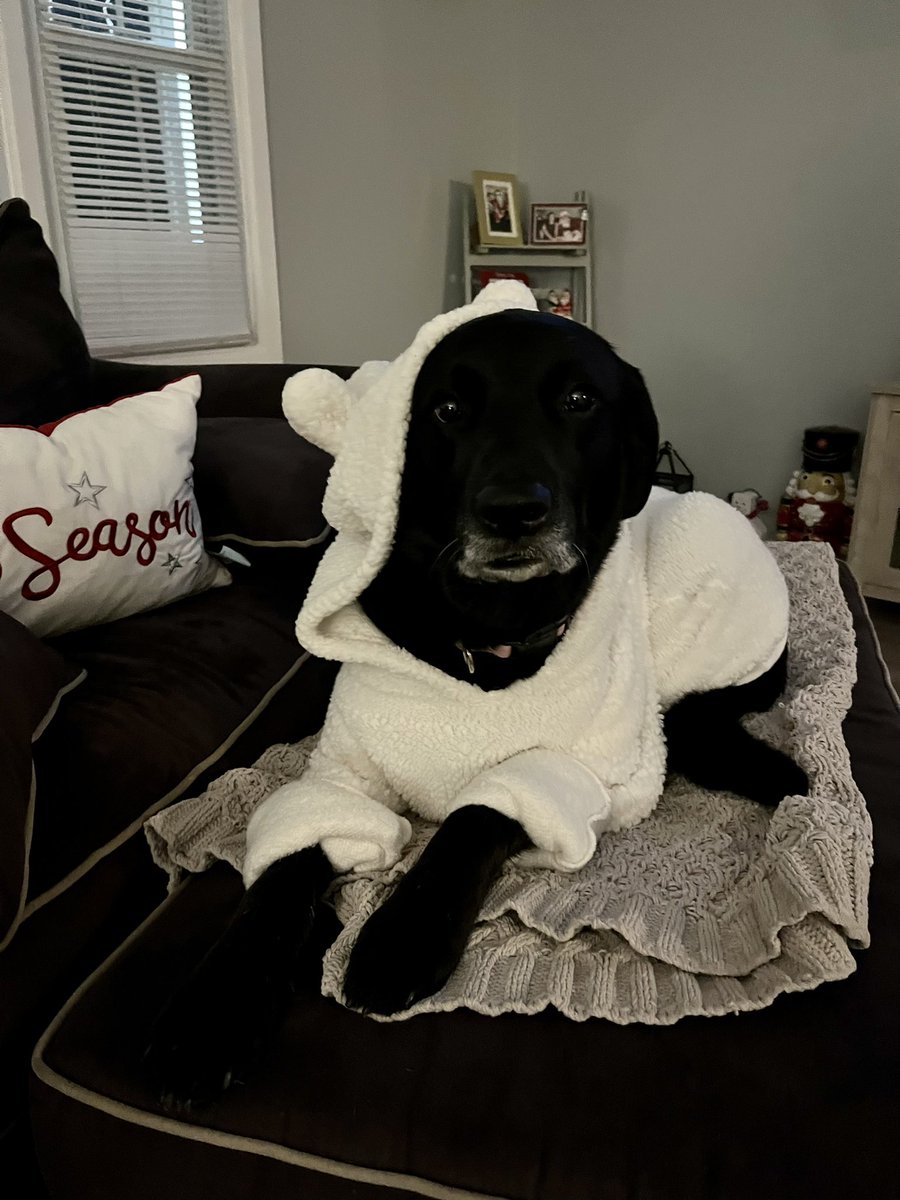 Public service announcement from Maggie:  bundle up friends, it’s frigid out!