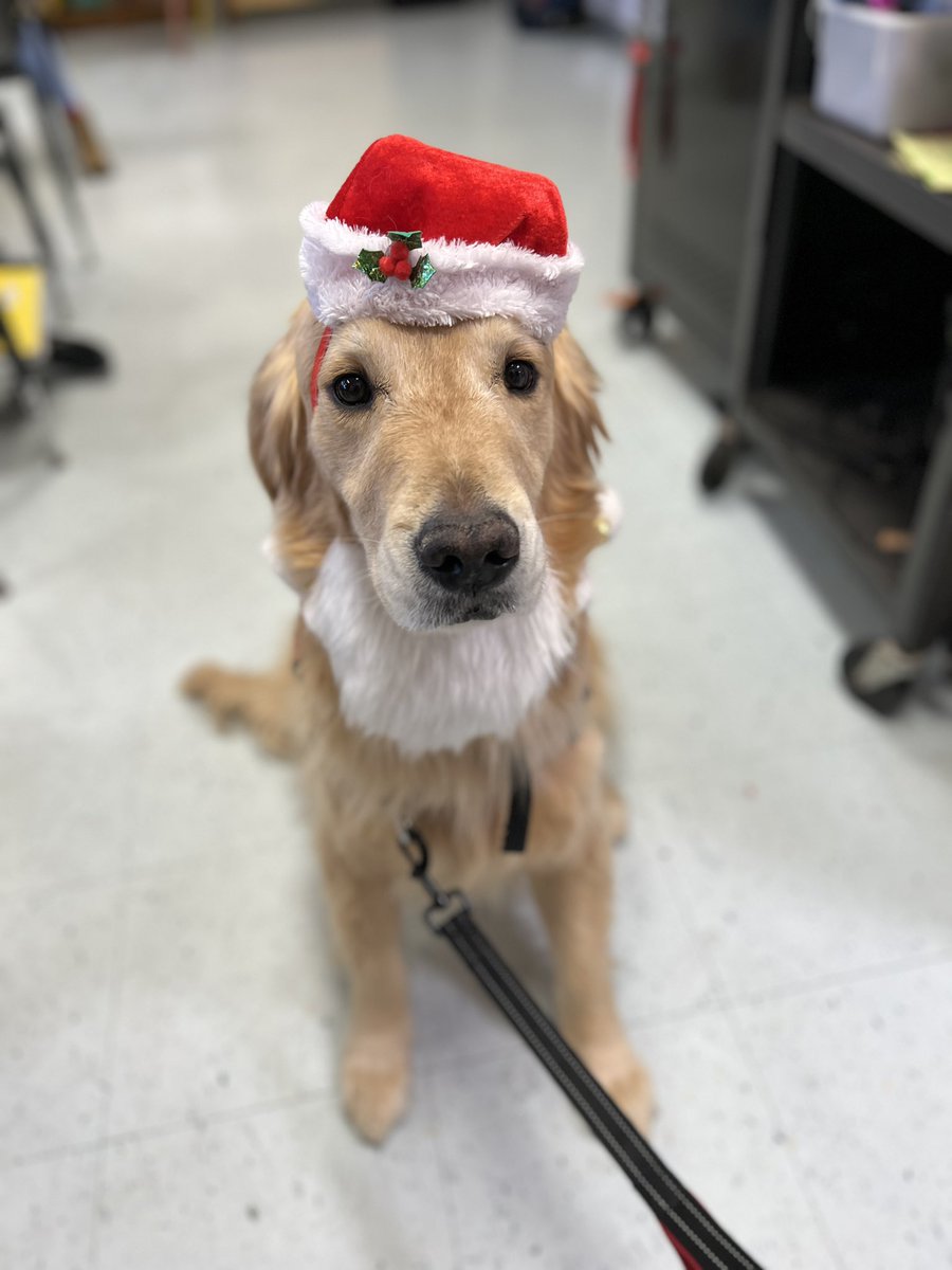 This week School #25 had the cutest visitor putting a smile on all our faces. Thank you Therapy Dog Darius and Tracy. <a href="/25Lafayette/">Lafayette Estates School #25</a>