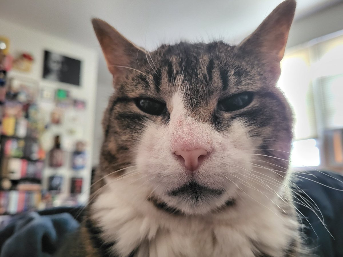 Rich_McCarthy's tweet photo. @devincf @BrittanyKnupper Randall says hello. https://t.co/pKBHnpKyjT