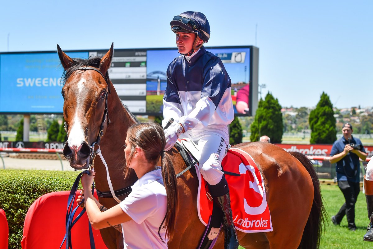 Racing Victoria tweet media