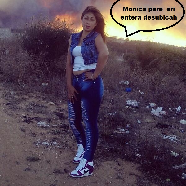 "Mónica Pérez" "Región de Valparaíso" #VinadelMar #Incendio 
<a href="/canal13/">El 13</a>