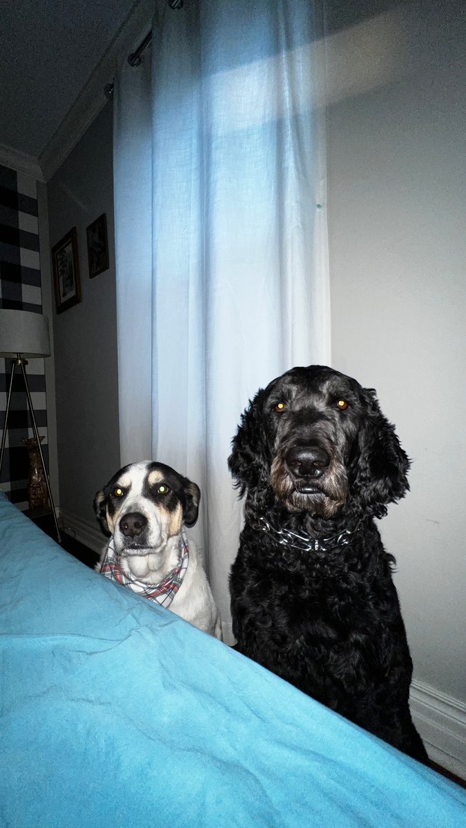 The Chris Cox tweet media