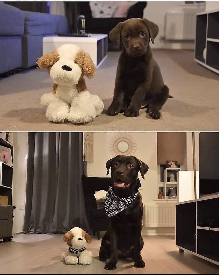 Ya creció desde su primer Navidad 🥺