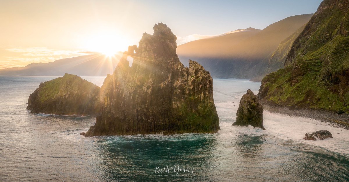 Beth Young tweet media