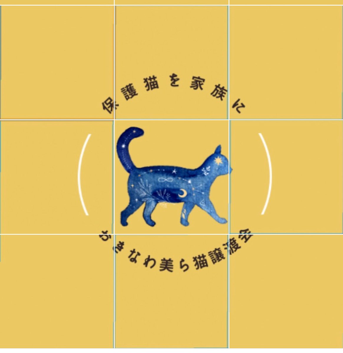 専務が今、協力させて頂いている
保護猫ちゃんの団体様です。
皆さん　フォローを宜しくお願い致します。

こちらからお願い致します。🫡⬇️⏬⬇️⏬⬇️⏬⬇️⏬⬇️⏬
lit.link/okinawachurane…