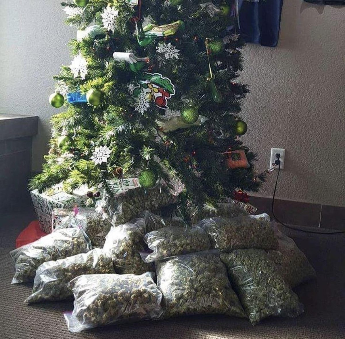 CDNSeedBank's tweet photo. HO HO HO !!! 

 #weedsmokers #WeedLife #weed #chronic #Christmas #SmokersOnly #GrowersOnly #DopeSquad https://t.co/prJqczwWAd
