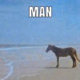 Settle the Score 🏝— NOT @WWESoloSikoa (@enforcingthefam) on Twitter photo 