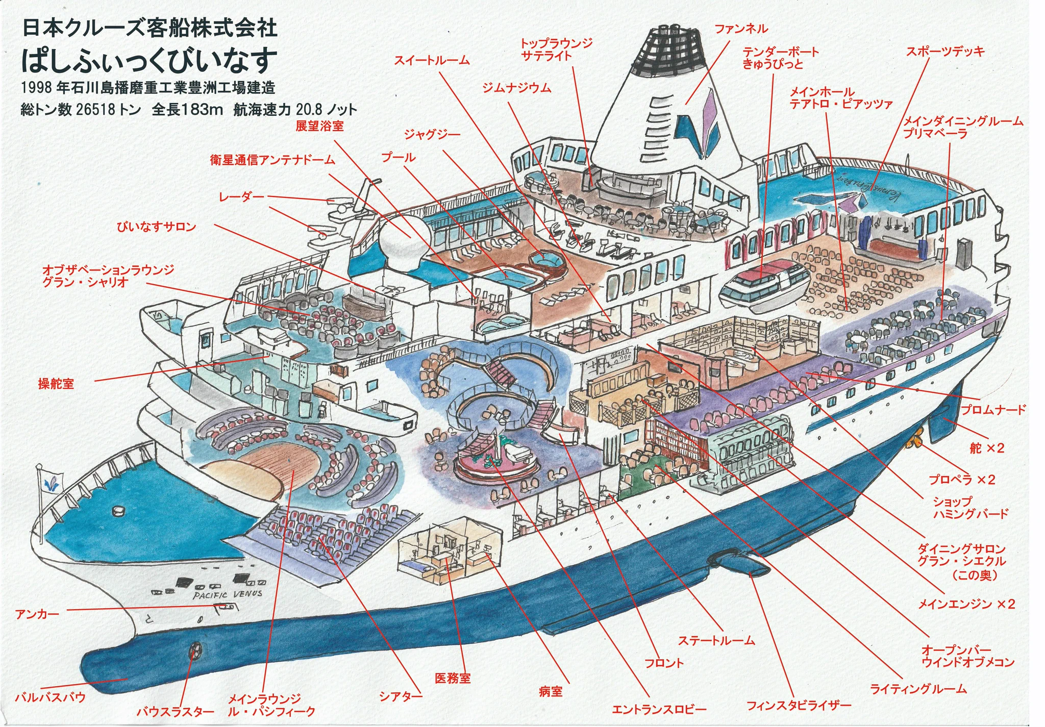 PUNIP cruises（プニップ・クルーズ）中村 辰美 on X: 