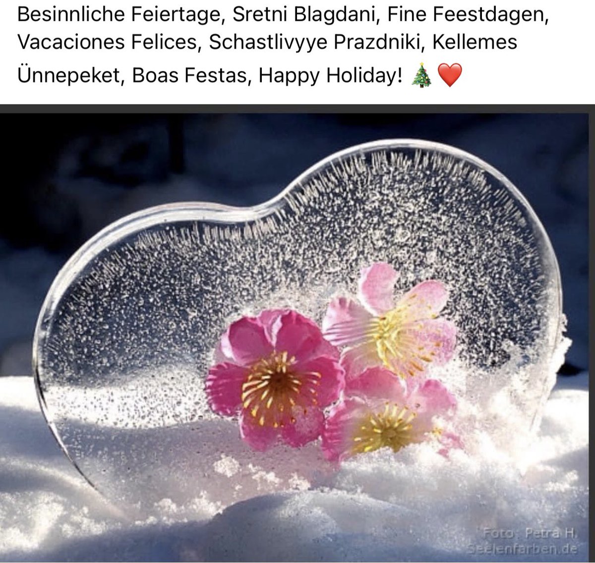 Ingrid Dykstra (@idykstra) on Twitter photo 