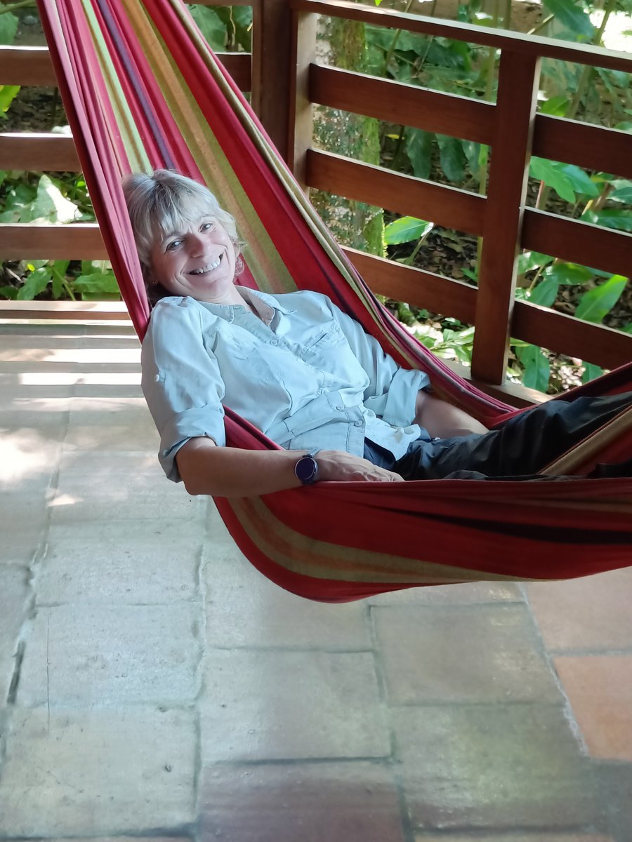 Sarah Thomas tweet media