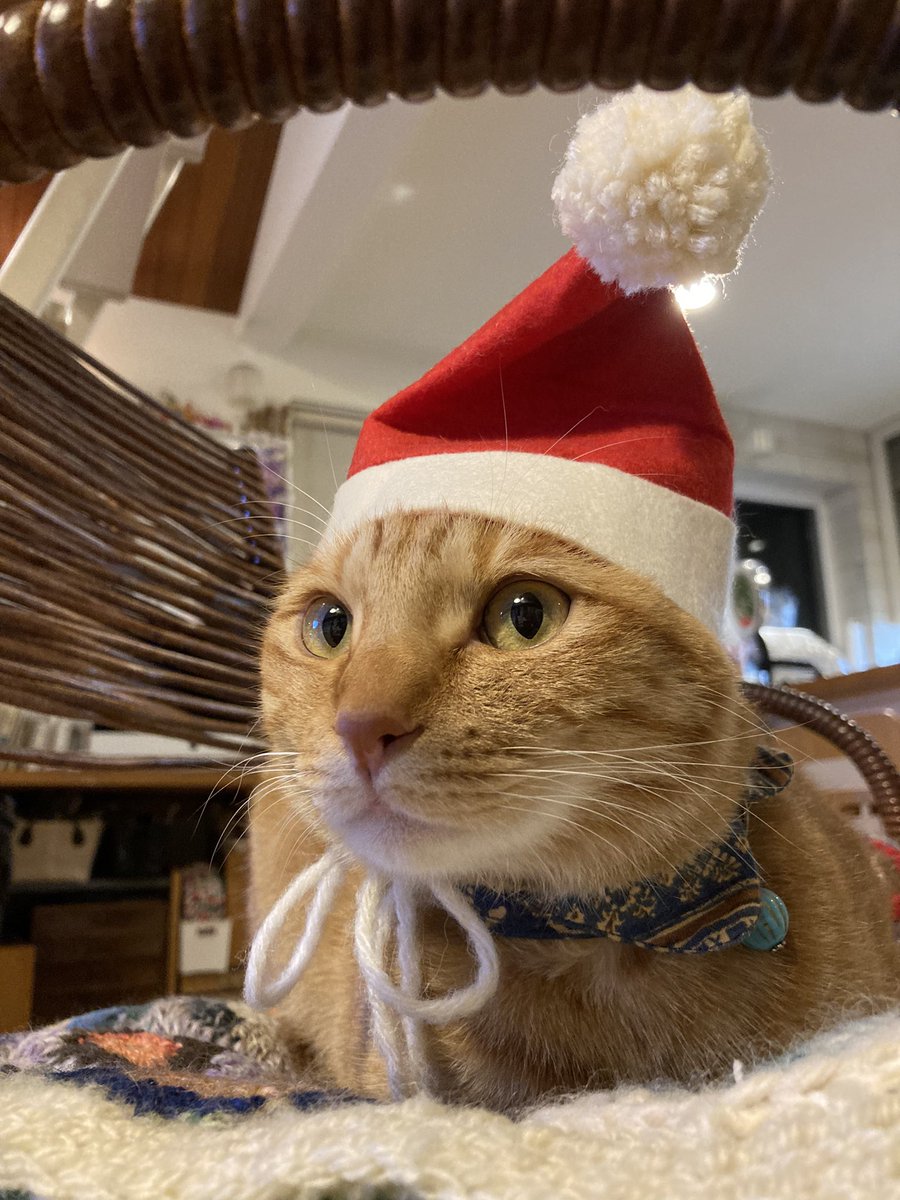 Snacktakako's tweet photo. Merry Xmas https://t.co/iQw8hvUYyN