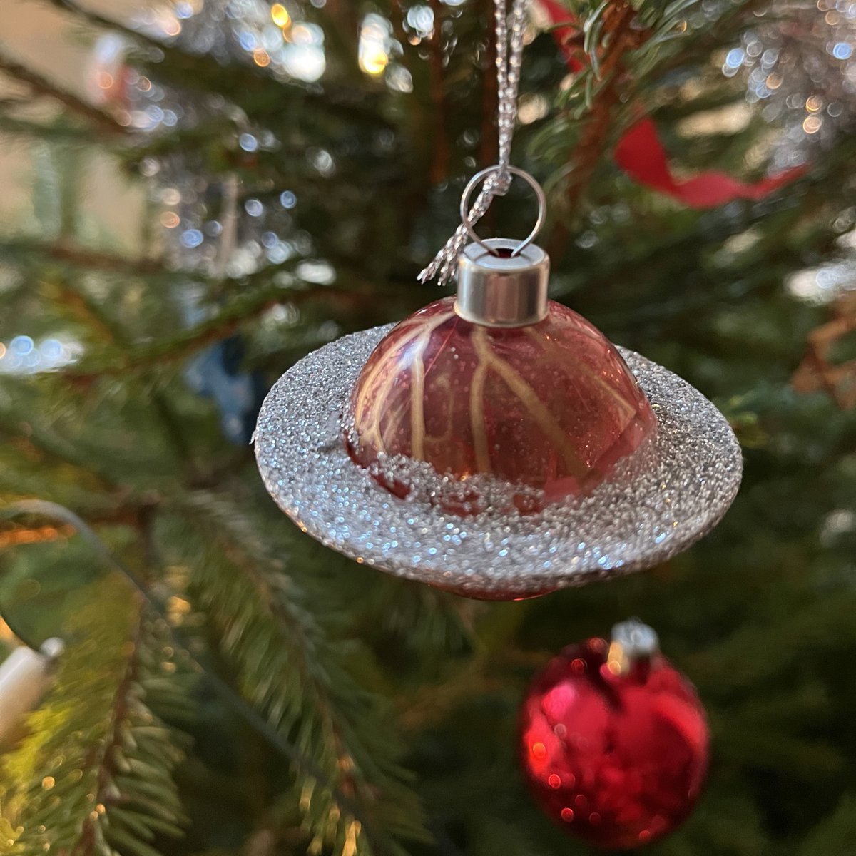 Anna Ekström tweet media