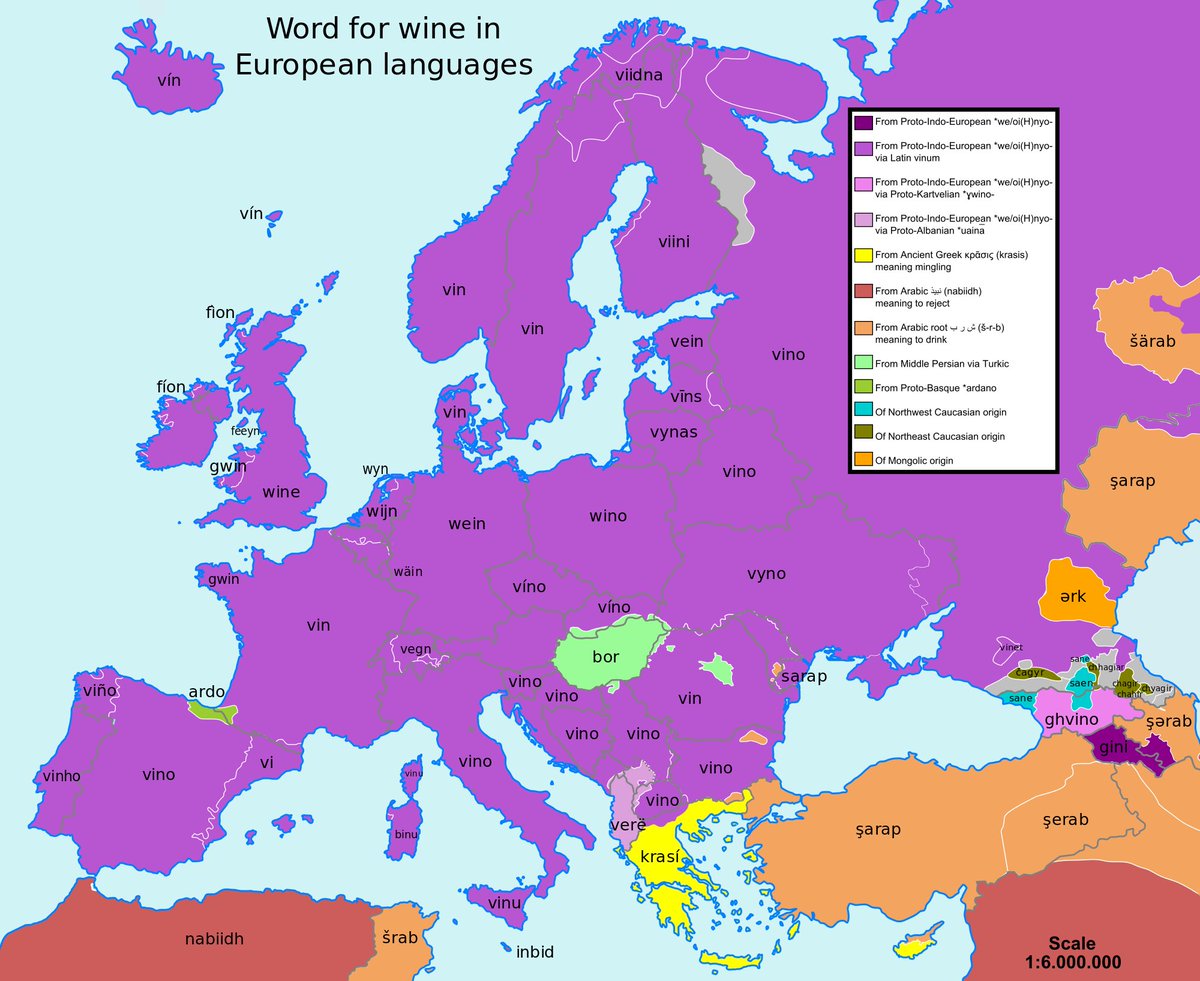 The word for "wine" in European languages.