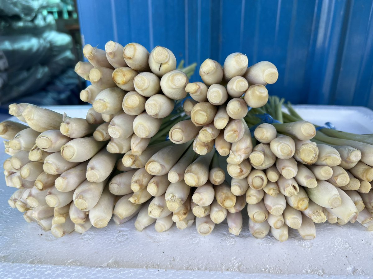 100% Organic quality lemongrass available. #AdduMeedhoo #organic #farming