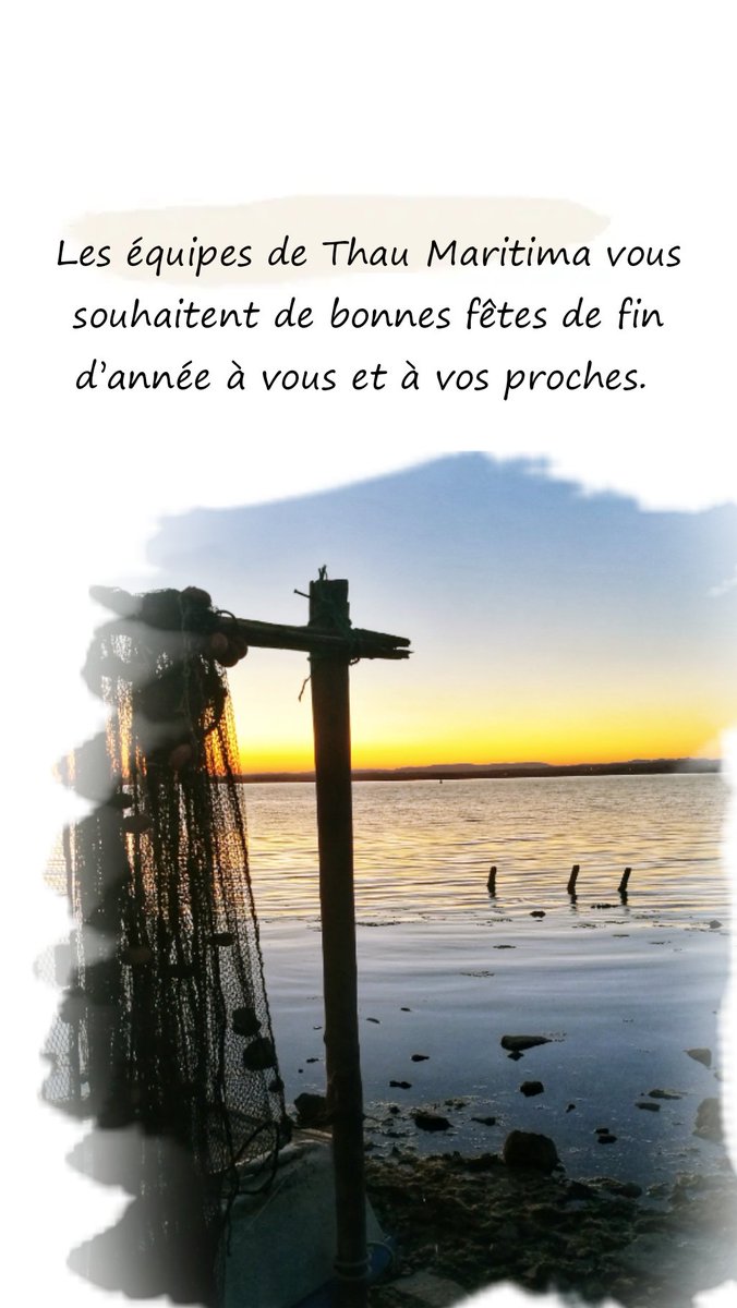 thau_maritima's tweet photo. Les équipes de Thau Maritima vous souhaitent de bonnes fêtes de fin d’année à vous et à vos proches.
#ThauMaritima #suez #creatingcyclesforlife
@Sete_agglo_med https://t.co/SrHIGHWfCH