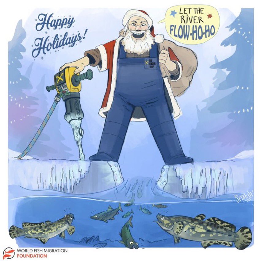 Dam Removal Europe tweet media