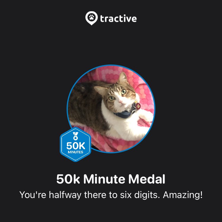 Leslie Michel tweet media