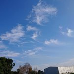 ツイートに含まれる画像