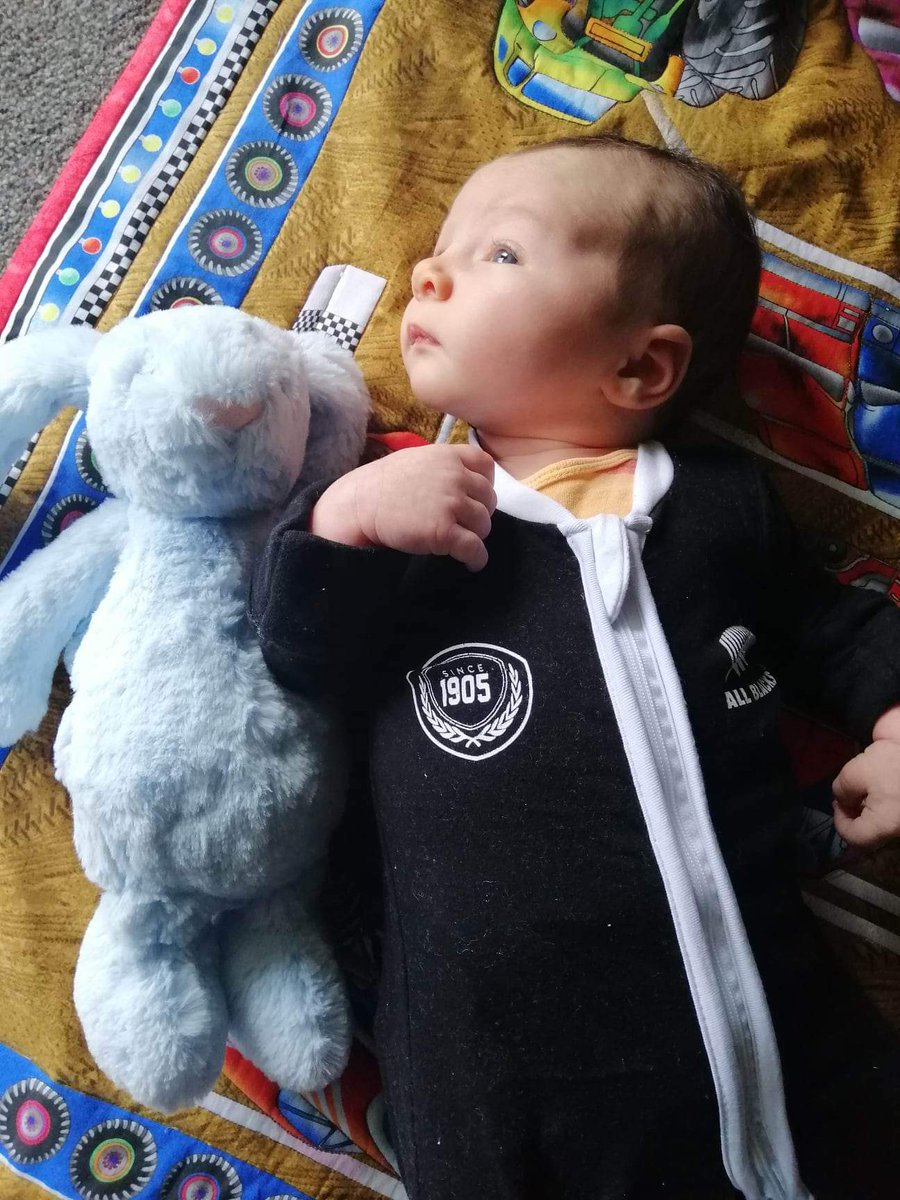 Nevabassingthwa's tweet photo. @Paulatics That's our son's Bunbun! After 60 hours of delays and flight cancellations, we finally arrived in Edmonton for our son's first time meeting his Canadian family. Our luggage is still lost in transit so reuniting them would be a Christmas miracle! https://t.co/6noBrJ8jlZ
