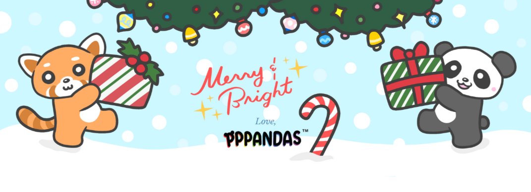 PPPandas 🐼 tweet media