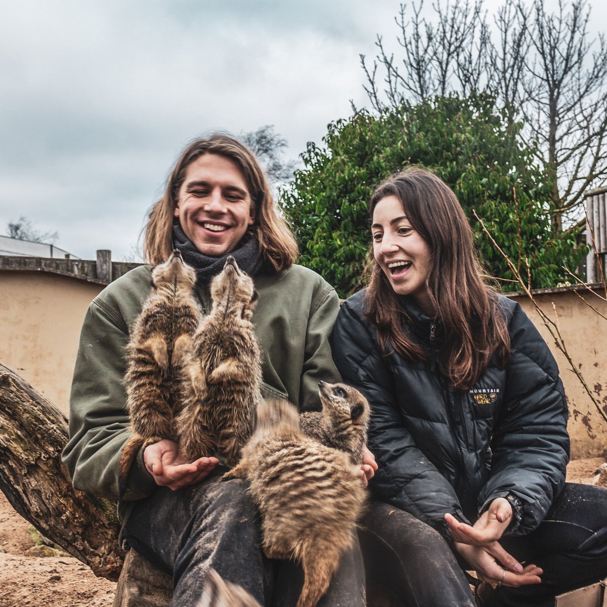 Peak Wildlife Park tweet media