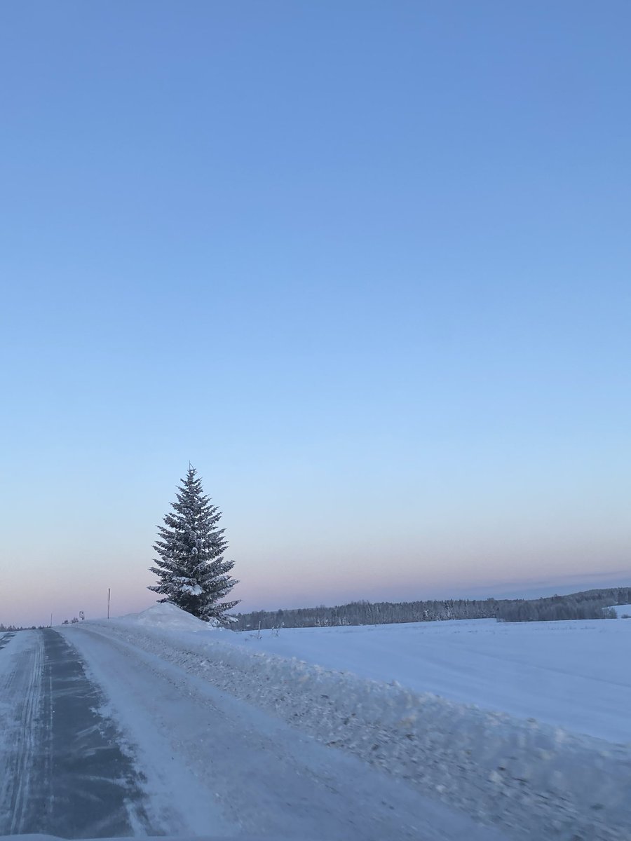 Västerbotten i vinterskrud 💙